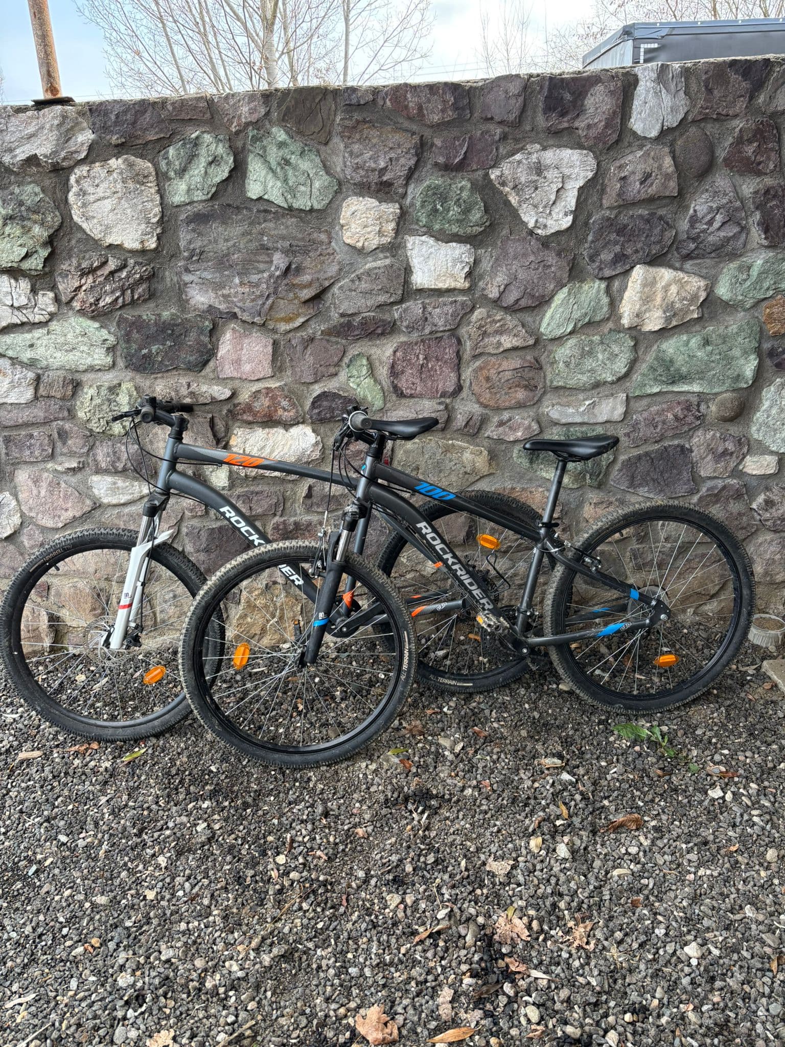 Închirieri biciclete în scop recreațional