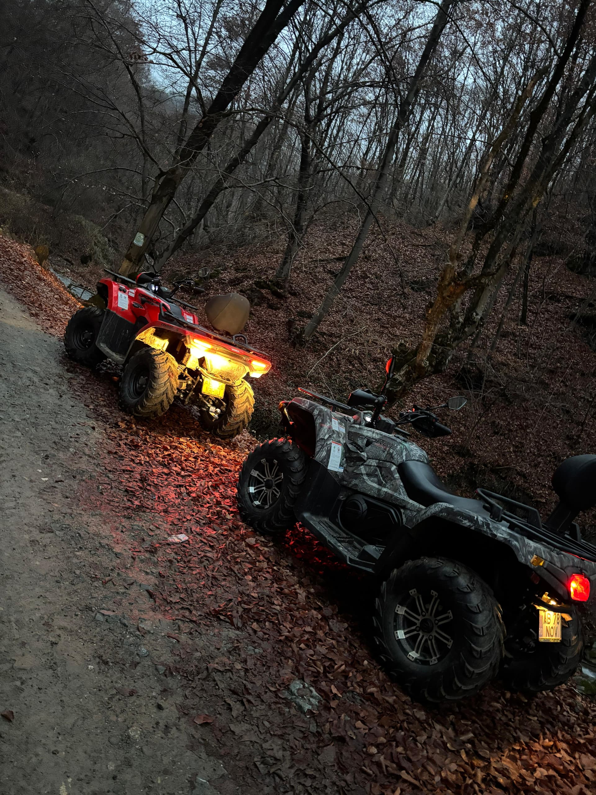 Pachet turistic de agrement RELAX